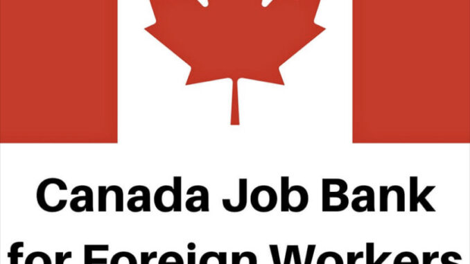 Working in Canada: Requirements And Visa Sponsorship Procedures